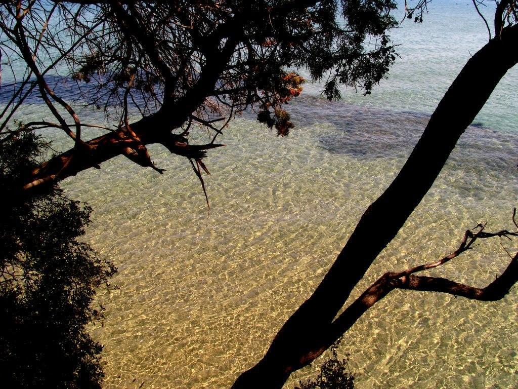 Doridaş 3* Kuşadası